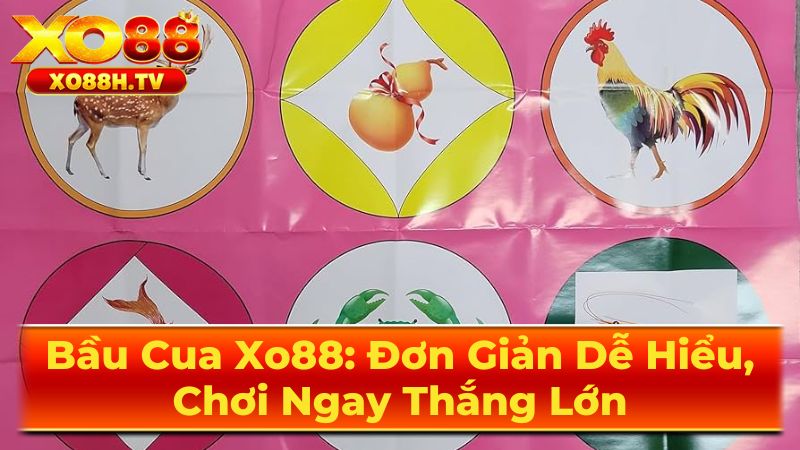 Hướng Dẫn Cách Chơi Bầu Cua Chi Tiết