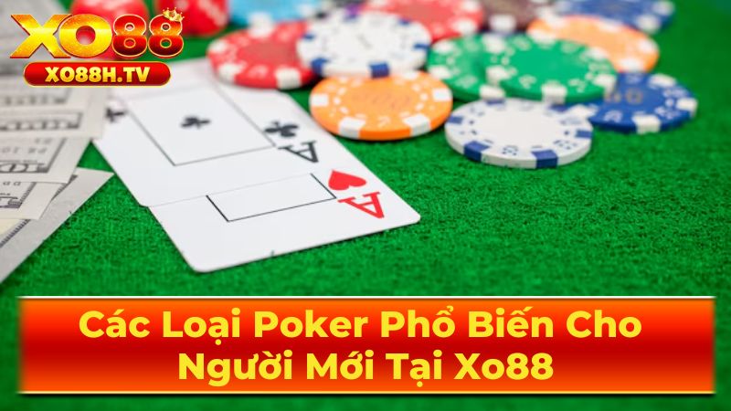 Các Loại Poker Phổ Biến Cho Người Mới Tại Xo88 2 Omaha - Biến Thể Đầy Thử Thách