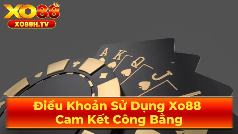 Quy Định Về Hoạt Động
