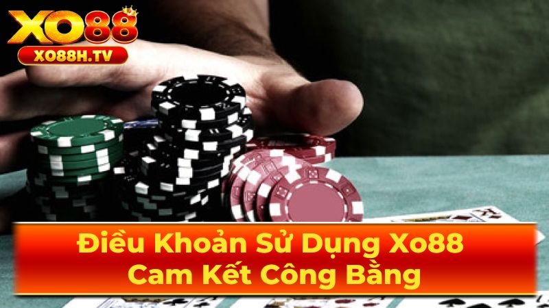 Tài Khoản Người Dùng