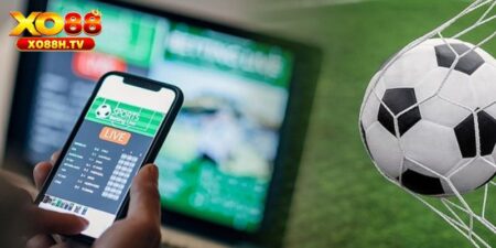 Cá Cược Bóng Đá Xo88 - Đẳng Cấp Trong Từng Loại Kèo 4 Cá Cược Bóng Đá Xo88 - Đẳng Cấp Trong Từng Loại Kèo